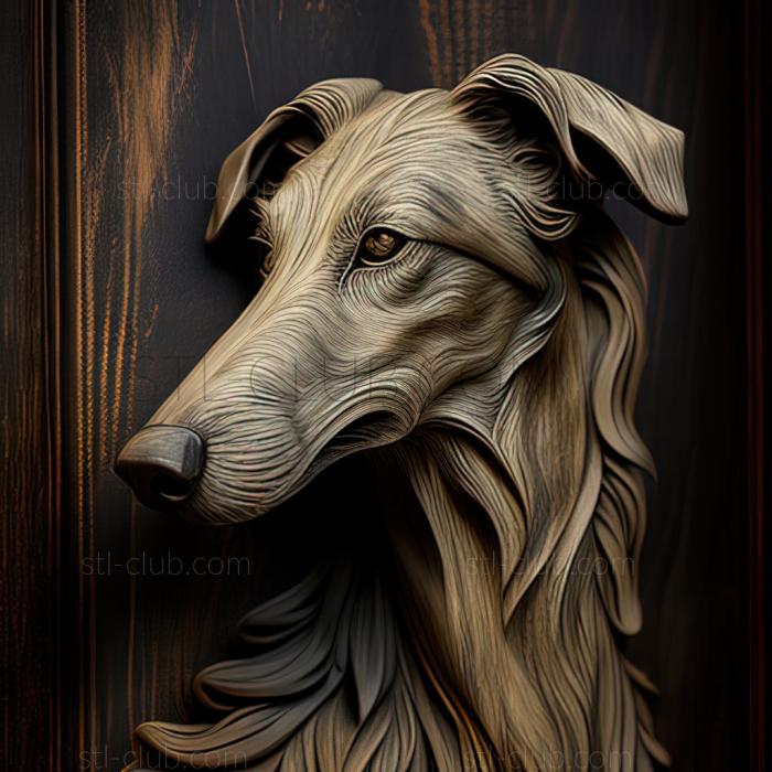 st Deerhound dog